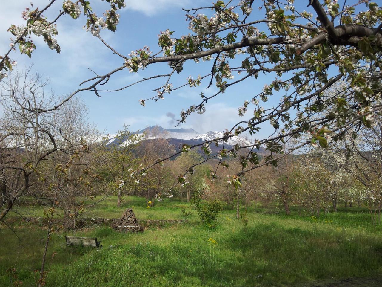 산탈피오 Cirasellaetna 빌라 외부 사진